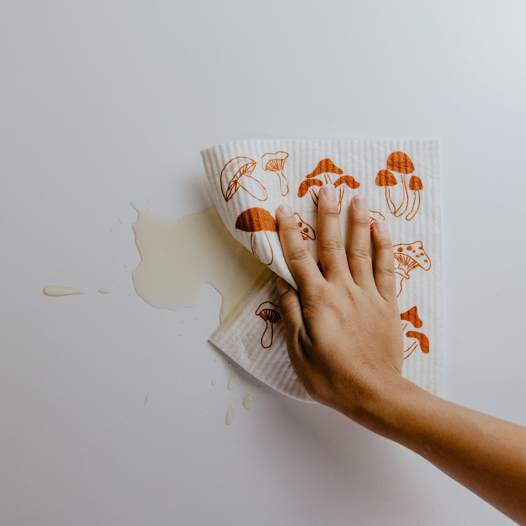 Sponge Cloth